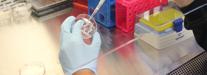 Science and Chemistry Fume Extraction