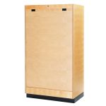 Educational Cabinet LX-21 900