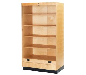 AES Educational Cabinet LX-21 900