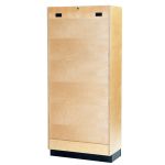 AES Educational Cabinet LX-21 780