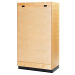 AES Educational Cabinet LX-21 920